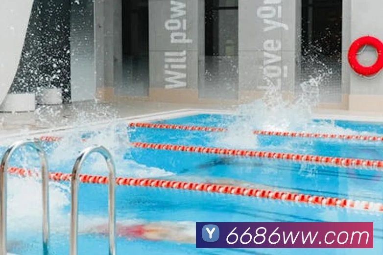 App Interface Preview